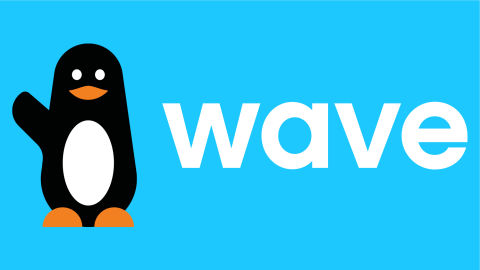 wave